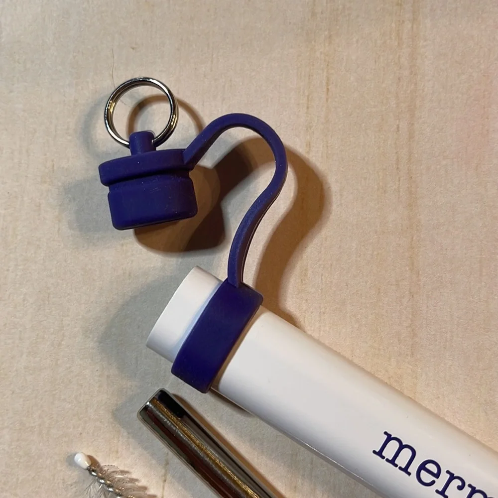 Swig Double Stainless Steel Straw Set